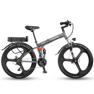 Xe Dap Tro Luc Dien Phoenix Xo 1