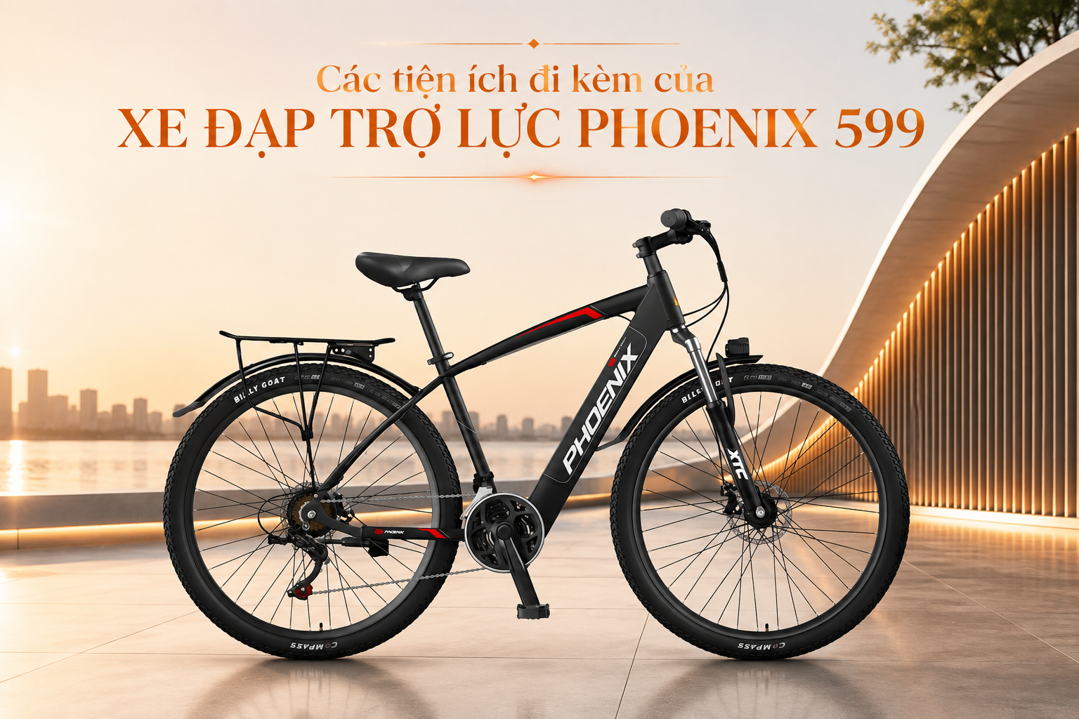 Các tiện ích đi kèm của xe đạp trợ lực Phoenix 599