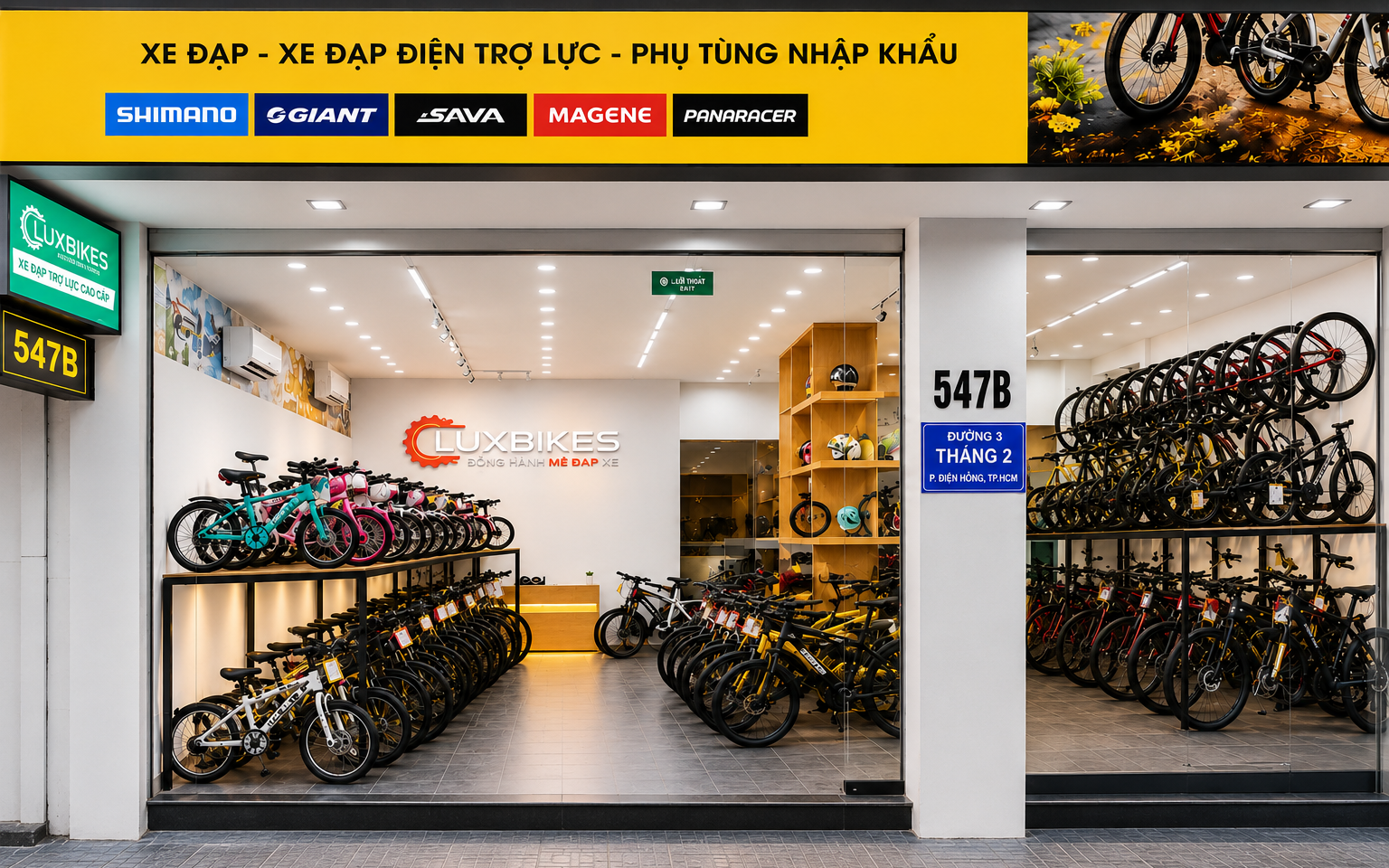 Mua xe đạp trợ lực Phoenix 599 chính hãng ở đâu?