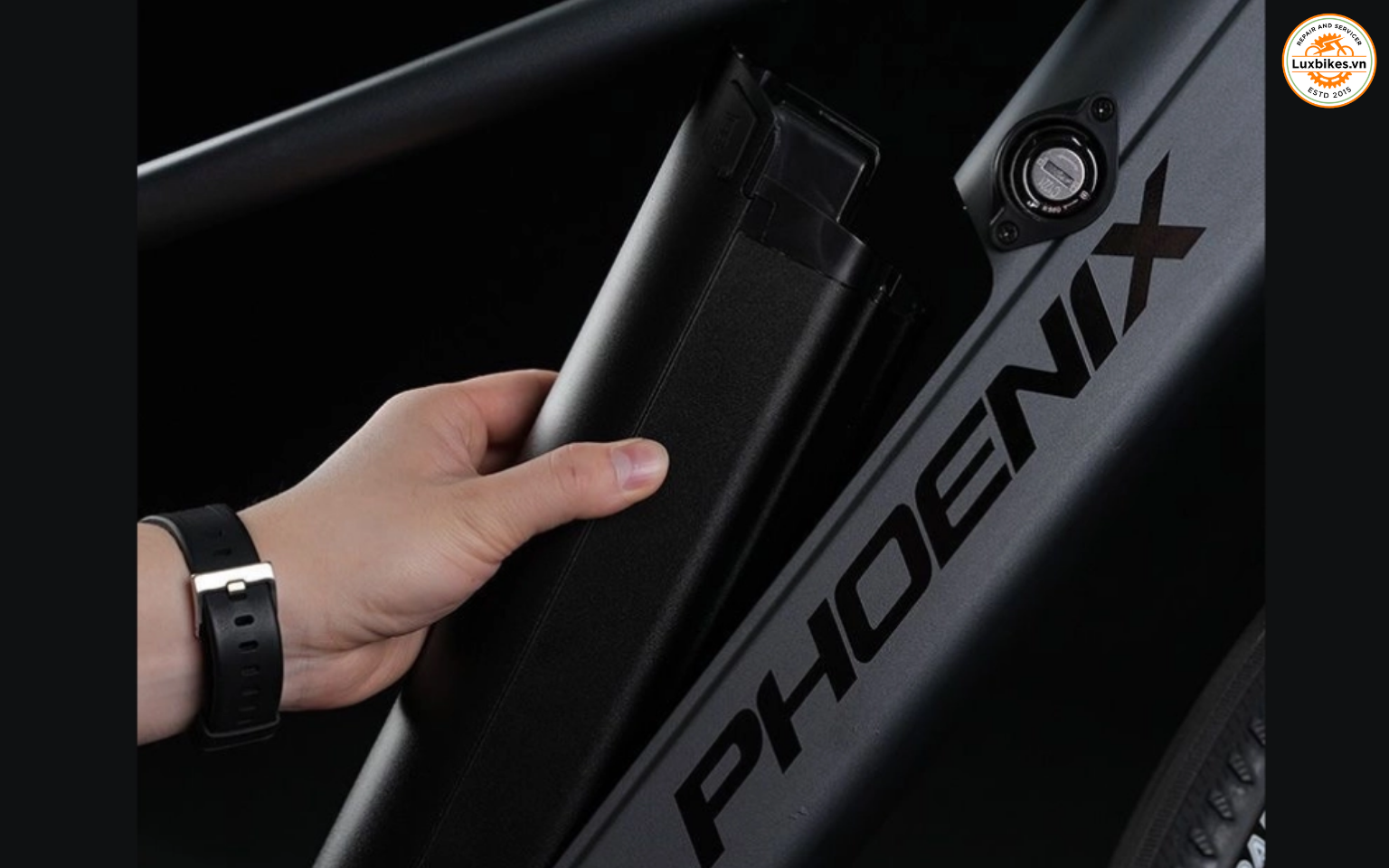 Những tính năng nổi bật của xe đạp trợ lực Phoenix 599