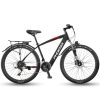 Xe Đạp Trợ Lực Phoenix 599