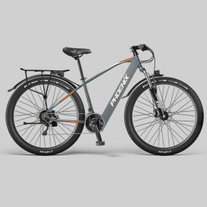 Xe Dap Tro Luc Phoenix 599 2