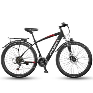 Xe Đạp Trợ Lực Phoenix 599