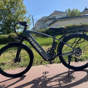 Xe Dap Tro Luc Phoenix Q2 2