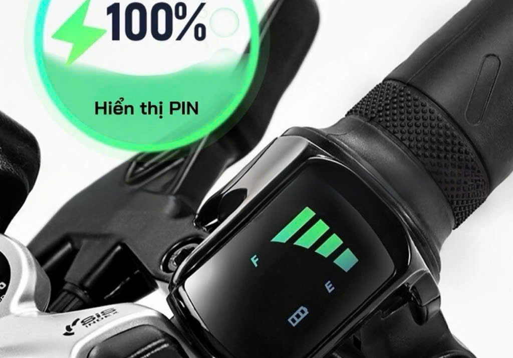 Xe Đạp Trợ Lực Phoenix 599 8 Z7693941428197 8957cc505552a90f9bf9c2aef694af83