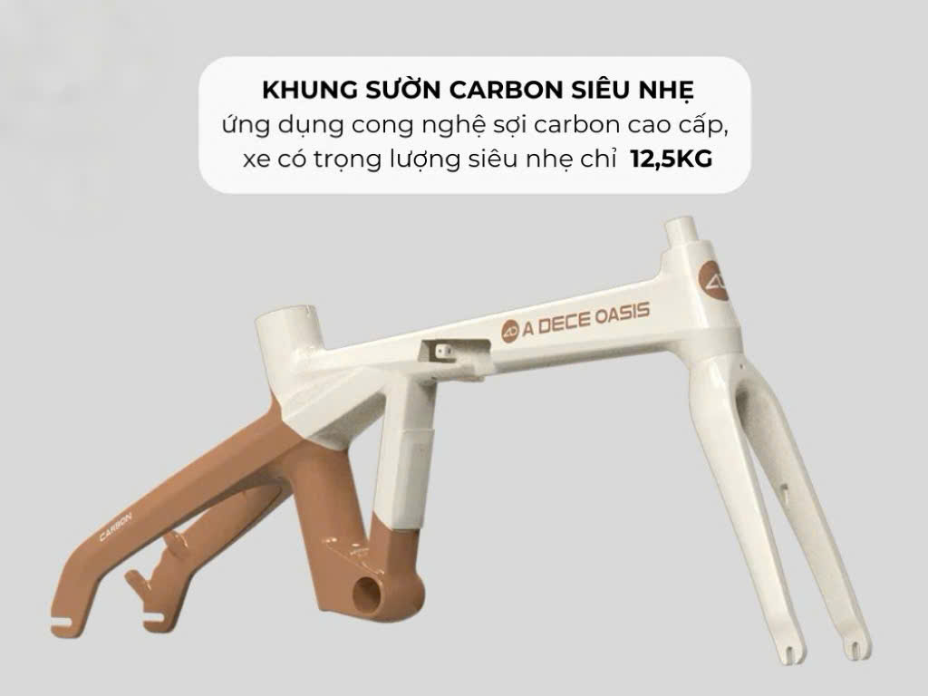 Khung xe trợ lực A20 carbon