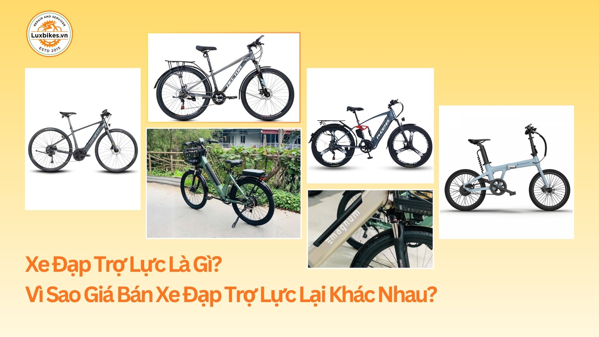 Xe Đạp Trợ Lực Giá Bao Nhiêu? Bảng Giá Các Thương Hiệu Nổi Tiếng 2 Xe đạp trợ lực là gì? Vì sao giá bán xe đạp trợ lực lại khác nhau?