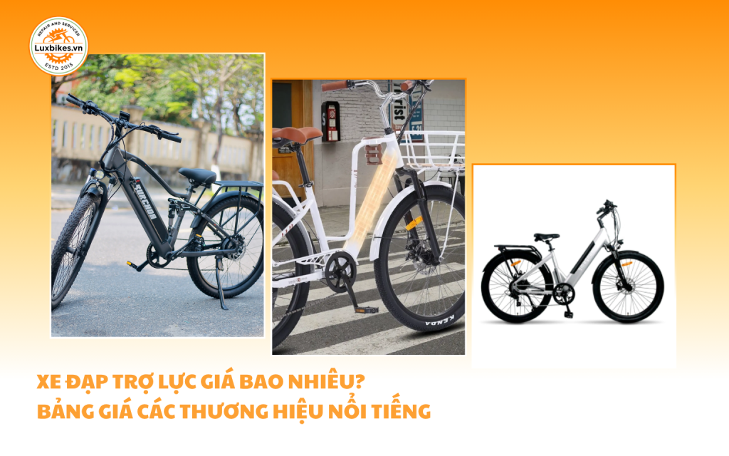 Xe Đạp Trợ Lực Giá Bao Nhiêu? Bảng Giá Các Thương Hiệu Nổi Tiếng 1 Xe Đạp Trợ Lực Giá Bao Nhiêu? Bảng Giá Các Thương Hiệu Nổi Tiếng