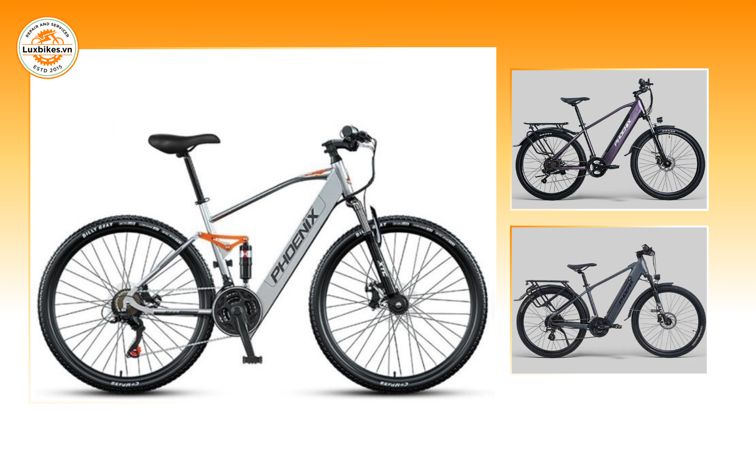 Top 10 Mẫu Xe Đạp Trợ Lực Cao Cấp Đáng Mua Nhất Hiện Nay 7 Xe đạp điện trợ lực Phoenix LM