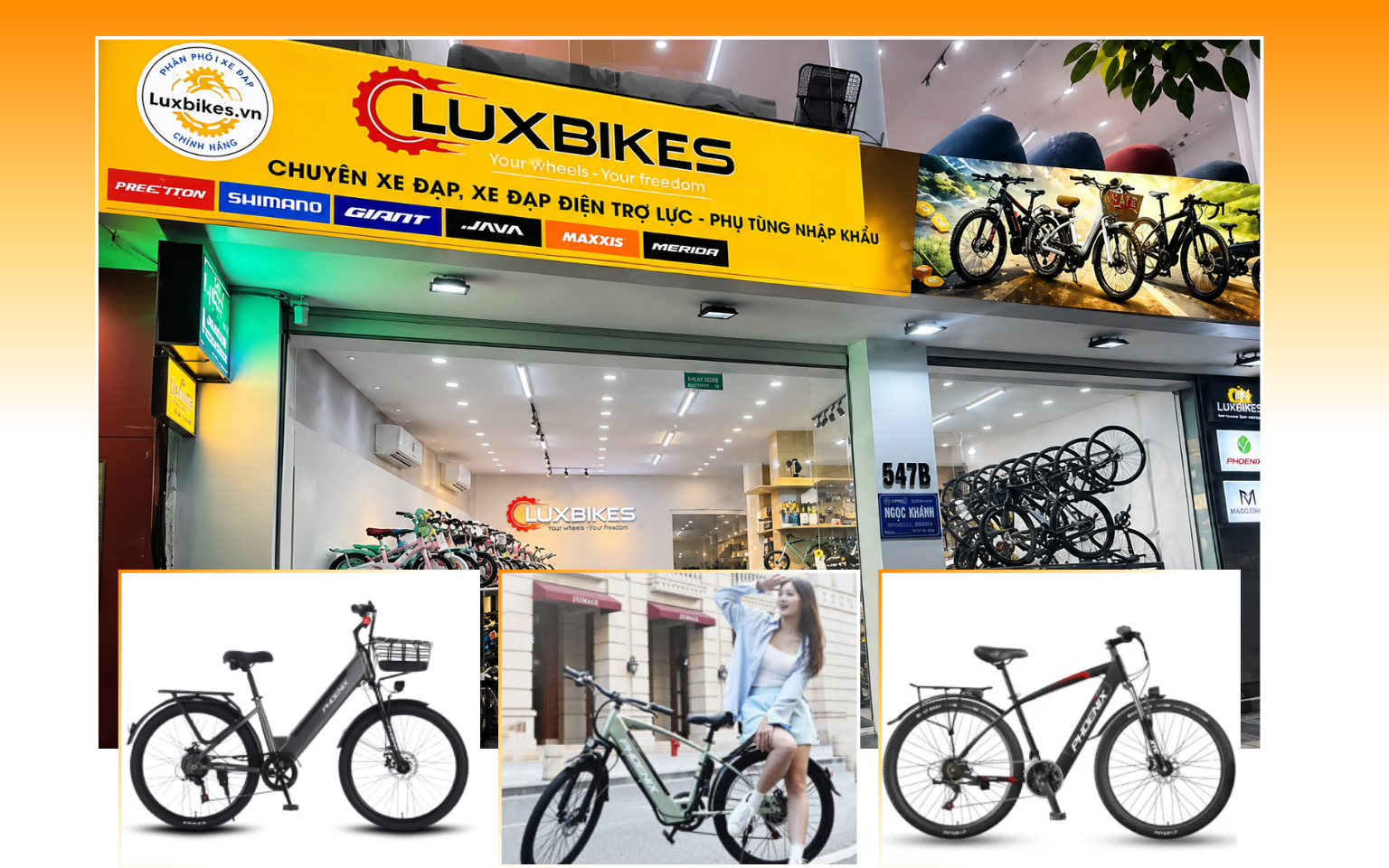Tìm Hiểu 8 Sai Lầm Khi Mua Xe Đạp Trợ Lực Lần Đầu 7 Nên Chọn Xe Đạp Trợ Lực Giá Rẻ Hay Xe Chính Hãng?