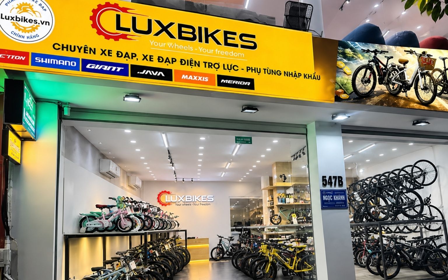 Top 10 Mẫu Xe Đạp Trợ Lực Cao Cấp Đáng Mua Nhất Hiện Nay 16 Mua Xe Đạp Trợ Lực Cao Cấp Chính Hãng Ở Đâu?
