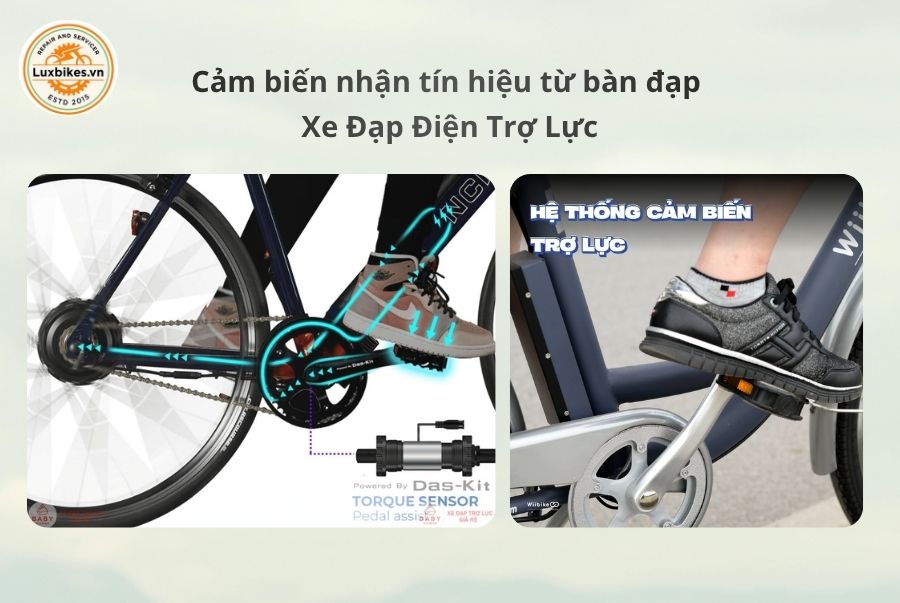 Tìm Hiểu Nguyên Lý Hoạt Động Của Xe Đạp Điện Trợ Lực 2 Cảm biến nhận tín hiệu từ bàn đạp