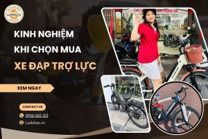 Kinh Nghiem Khi Mua Xe Dap Tro Luc Luxbikes