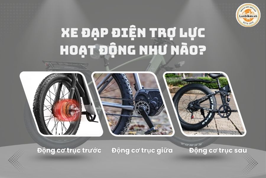 Xe Đạp Điện Trợ Lực Là Gì? Khác Xe Đạp Điện Thông Thường Thế Nào? 2 Xe đạp điện trợ lụqc họat động thế nào ?