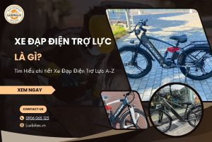 Xe Đạp Điện Trợ Lực Là Gì? Khác Xe Đạp Điện Thông Thường Thế Nào?