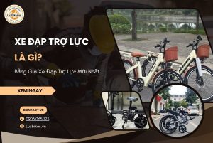 Xe Đạp Trợ Lực Là Gì? Bảng Giá Xe Đạp Trợ Lực Mới Nhất