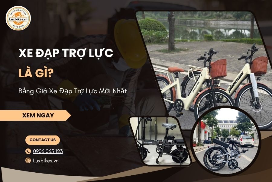Xe Đạp Trợ Lực Là Gì? Bảng Giá Xe Đạp Trợ Lực Mới Nhất 1 Xe Đạp Trợ Lực Là Gì? Bảng Giá Xe Đạp Trợ Lực Mới Nhất