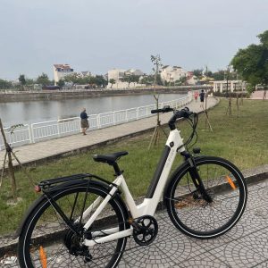 Xe đạp trợ lực điện Fiido C11 8 Fiido C11 11