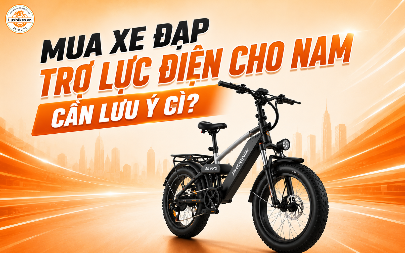 Xe Đạp Trợ Lực Điện Cho Nam: 8+ Mẫu Được Ưa Chuộng Nhất 2 Mua xe đạp trợ lực điện cho nam cần lưu ý gì?