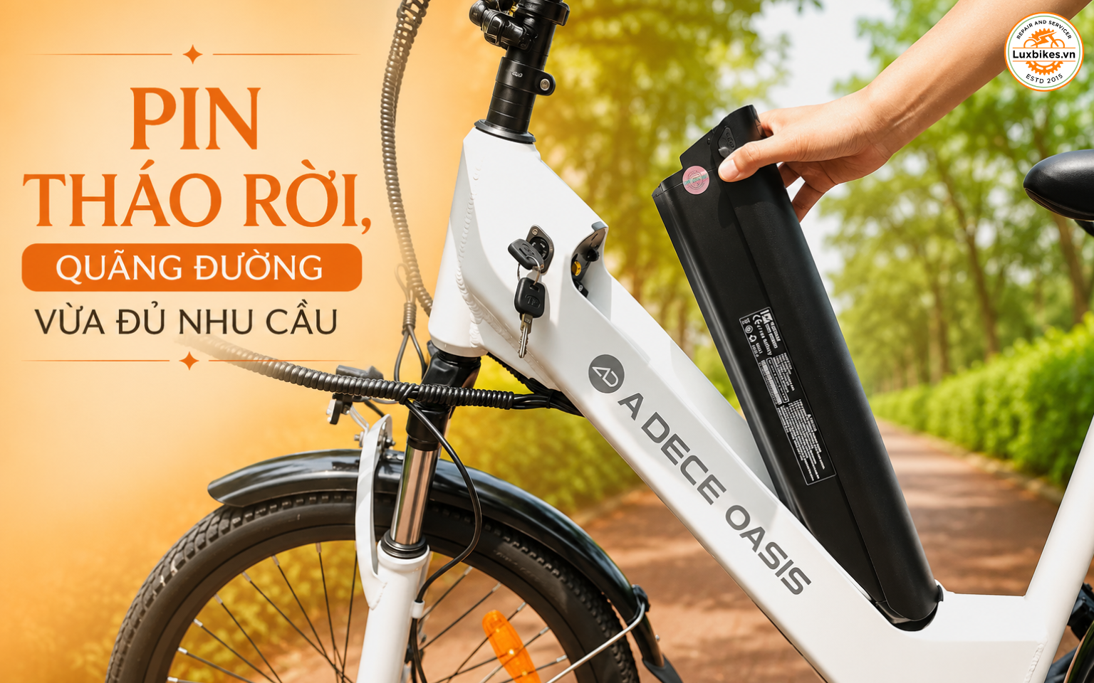 Cách chọn xe đạp trợ lực cho người lớn tuổi 