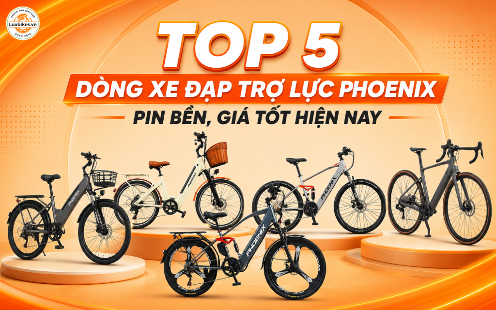 Top 5 Dòng Xe Đạp Trợ Lực Phoenix Pin Bền, Giá Tốt Hiện Nay 1 Top 5 Dòng Xe Đạp Trợ Lực Phoenix Pin Bền, Giá Tốt Hiện Nay