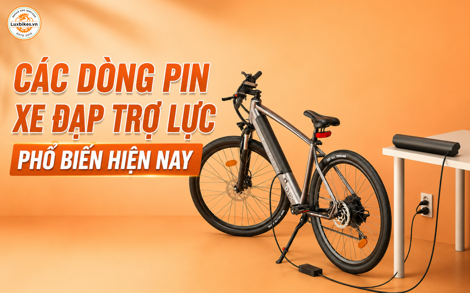 Các dòng pin xe đạp trợ lực phổ biến hiện nay