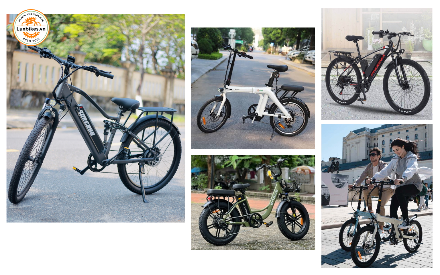 xe đạp trợ lực có cần biển số không ? Đa dạng kiểu dáng và tính năng