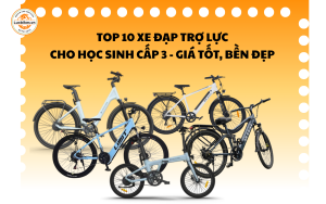 Top 10 Xe Đạp Trợ Lực Cho Học Sinh Cấp 3 Giá Tốt, Bền Đẹp