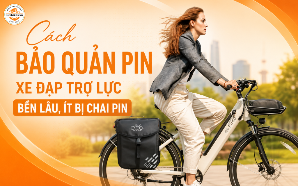 Cách Bảo Quản Pin Xe Đạp Trợ Lực Bền Lâu, Ít Bị Chai Pin