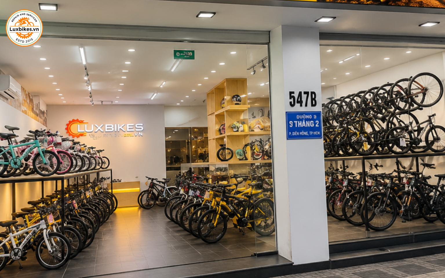 Mua xe đạp trợ lực điện chính hãng, giá tốt ở đâu?