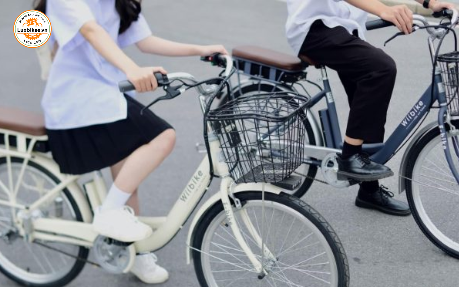 Xe đạp trợ lực có cần bằng lái không? Về độ tuổi được phép sử dụng