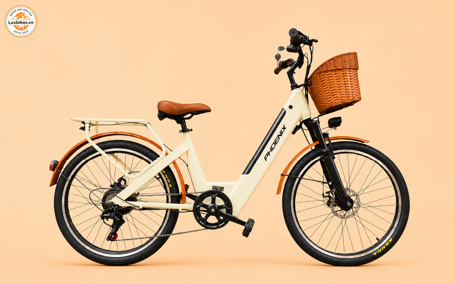 Top 8 mẫu xe đạp trợ lực điện dưới 15 triệu cao cấp
