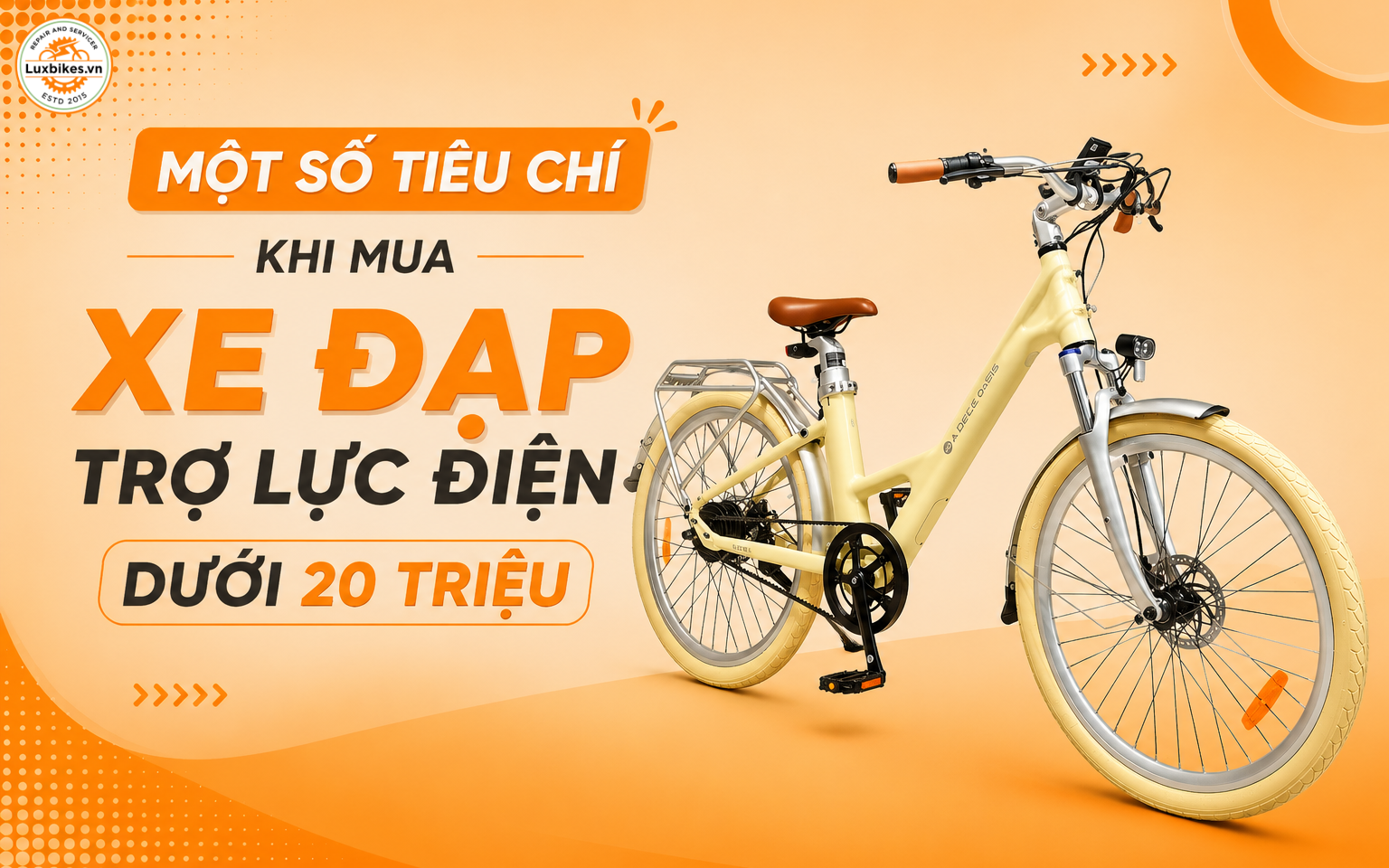 Một số tiêu chí khi mua xe đạp trợ lực điện dưới 20 triệu