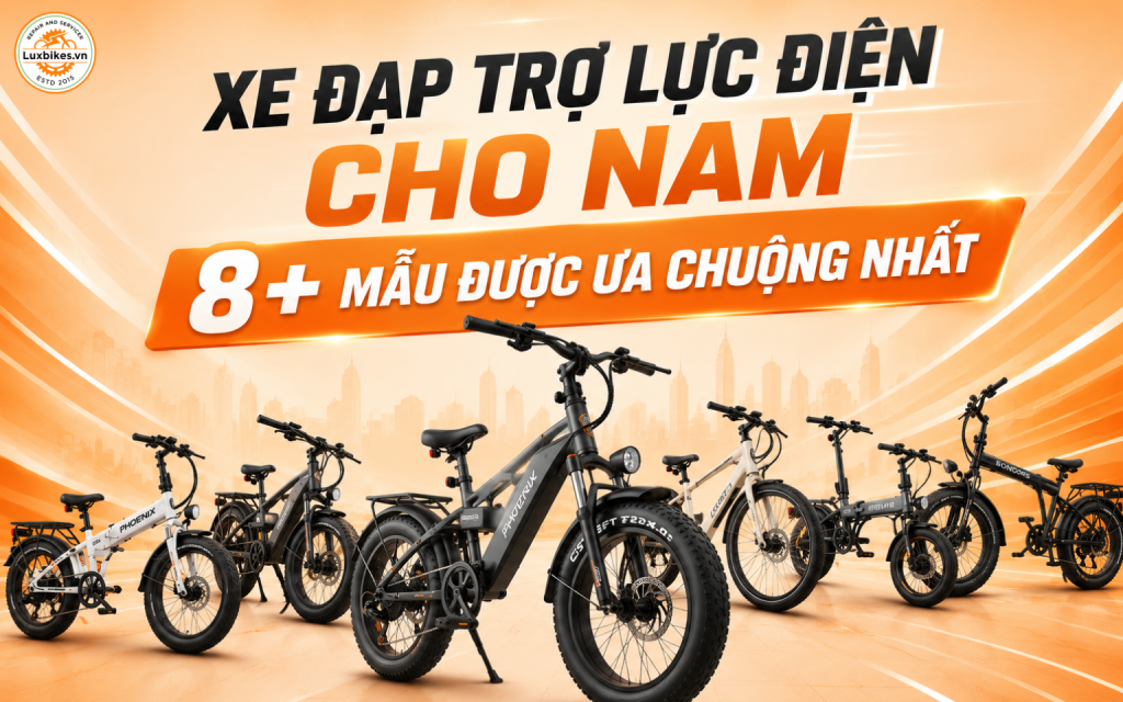 Xe Đạp Trợ Lực Điện Cho Nam: 8+ Mẫu Được Ưa Chuộng Nhất 1 Xe Đạp Trợ Lực Điện Cho Nam: 8+ Mẫu Được Ưa Chuộng Nhất