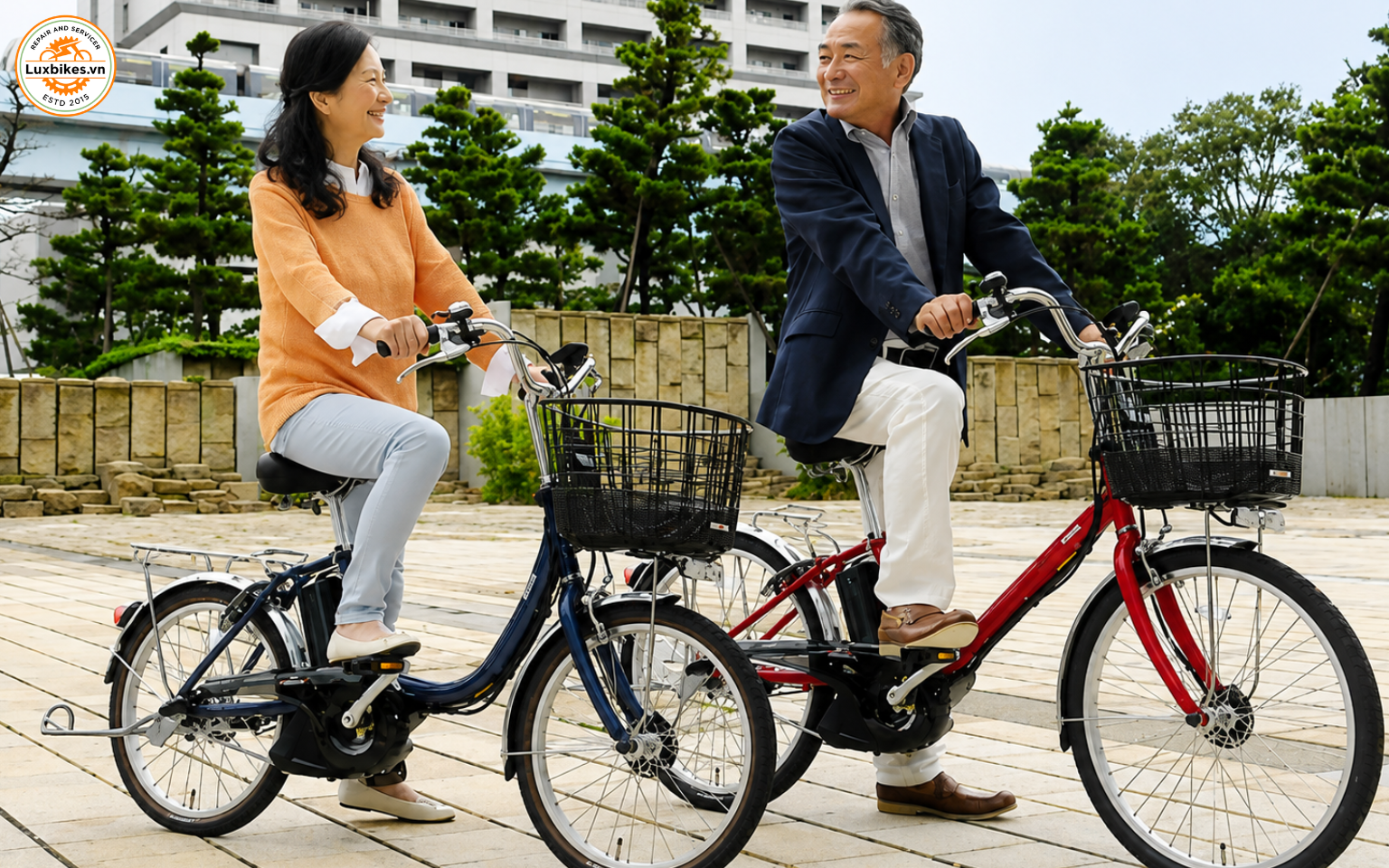 Lợi ích của xe đạp trợ lực điện đối với người lớn tuổi