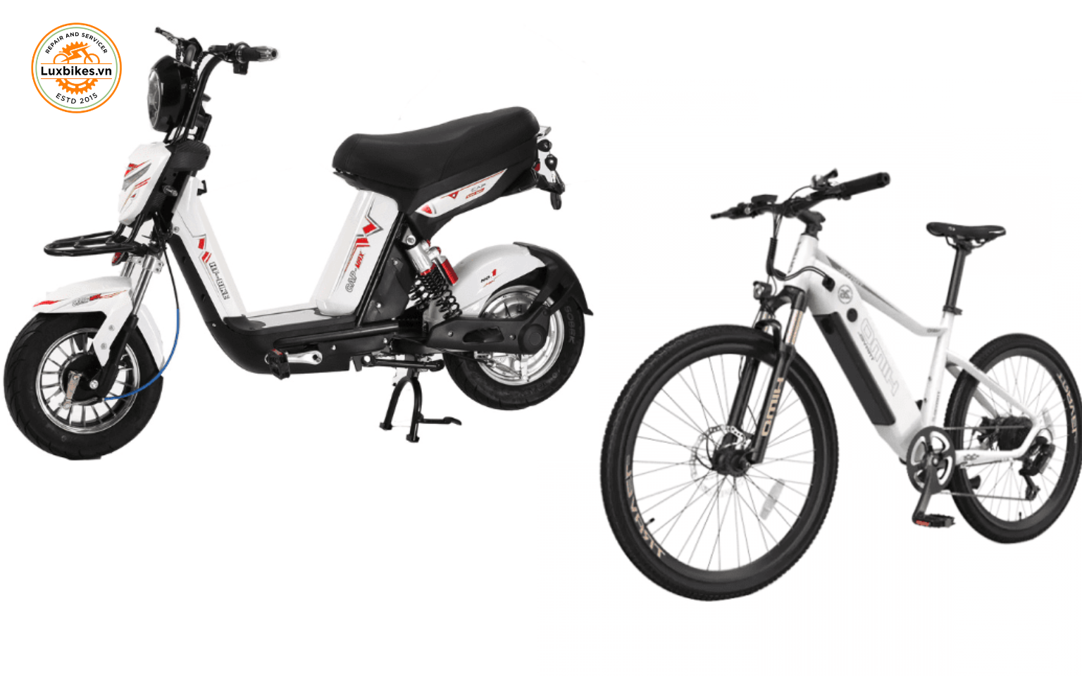 Xe đạp trợ lực có cần biển số không? Phân biệt xe đạp điện và xe đạp trợ lực điện