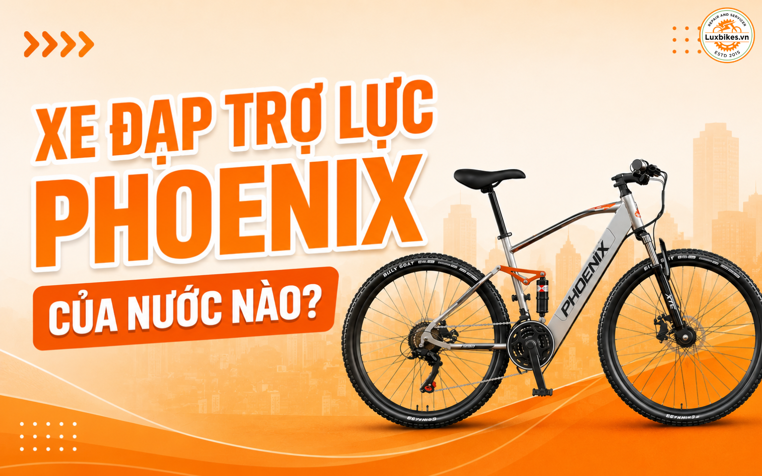 Xe đạp trợ lực Phoenix của nước nào?