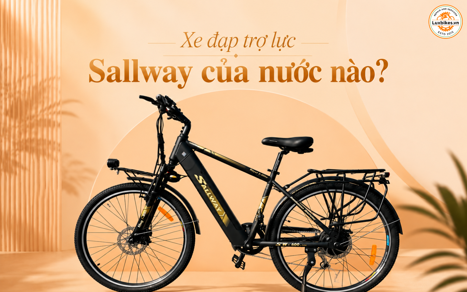 Xe đạp trợ lực Sallway của nước nào?