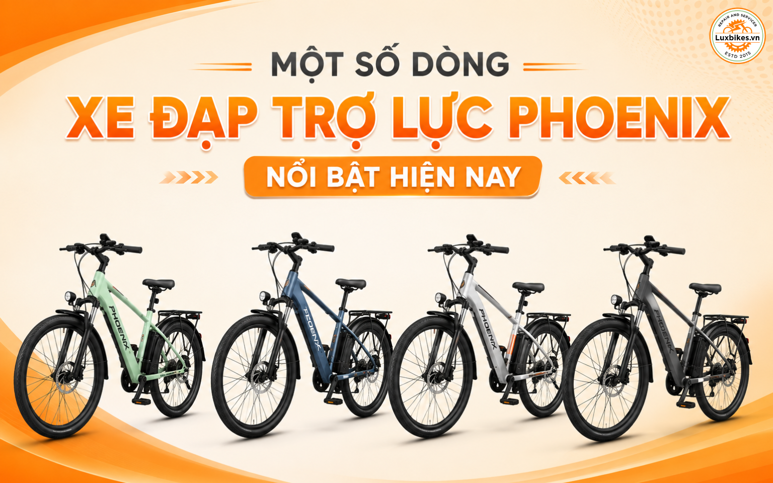 Một số dòng xe đạp trợ lực Phoenix nổi bật hiện nay