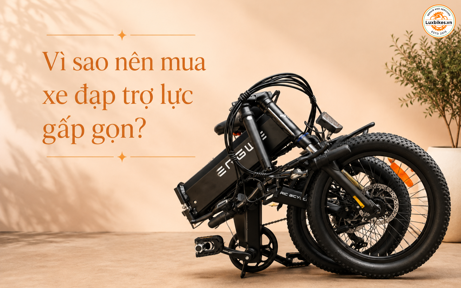 Vì sao nên mua xe đạp trợ lực gấp gọn?