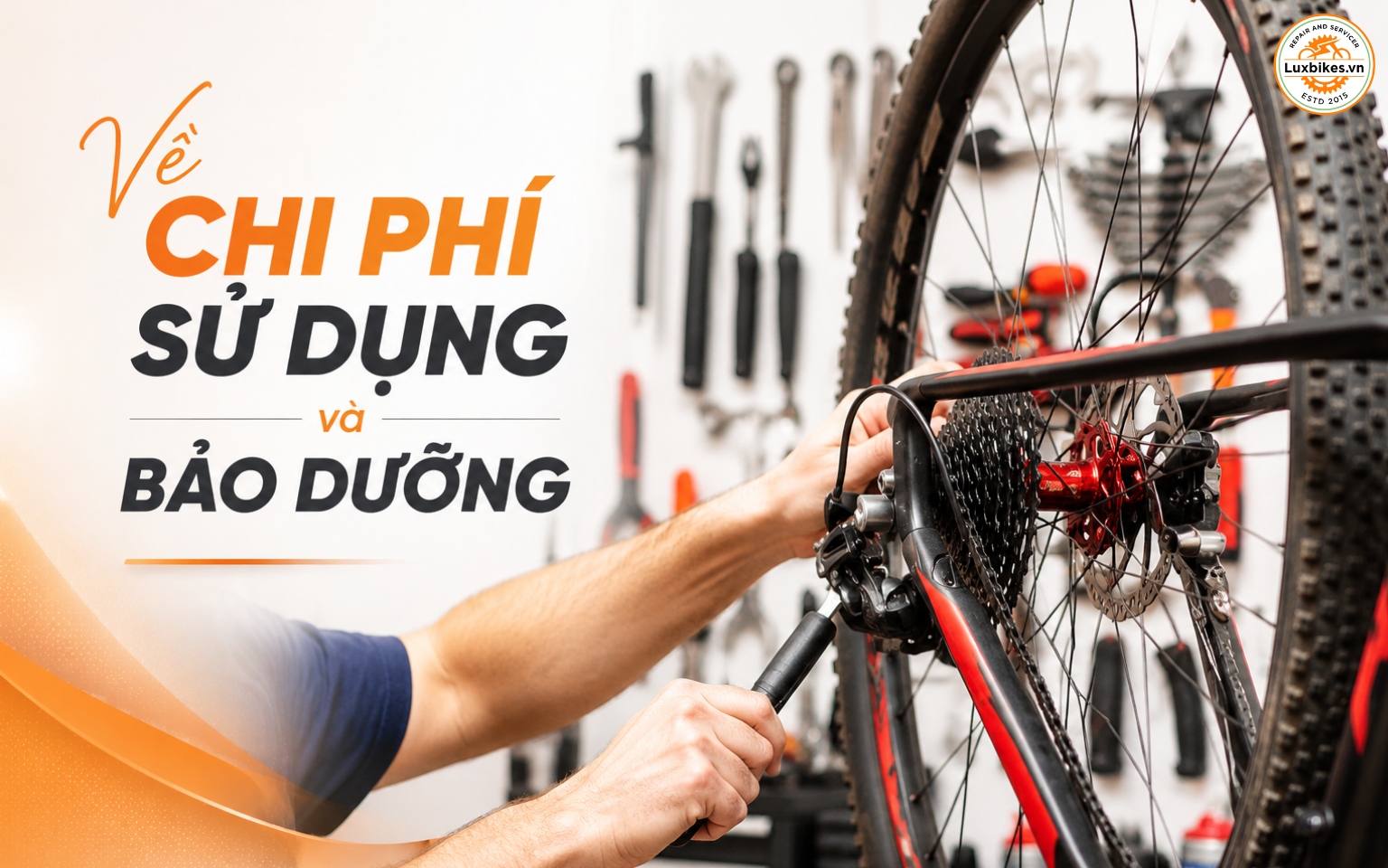 Nên Mua Xe Đạp Trợ Lực Hay Xe Đạp Điện? So Sánh Chi Tiết Để Chọn Đúng Nhu Cầu 4 So sánh xe đạp trợ lực và xe đạp điện khác nhau như thế nào?
