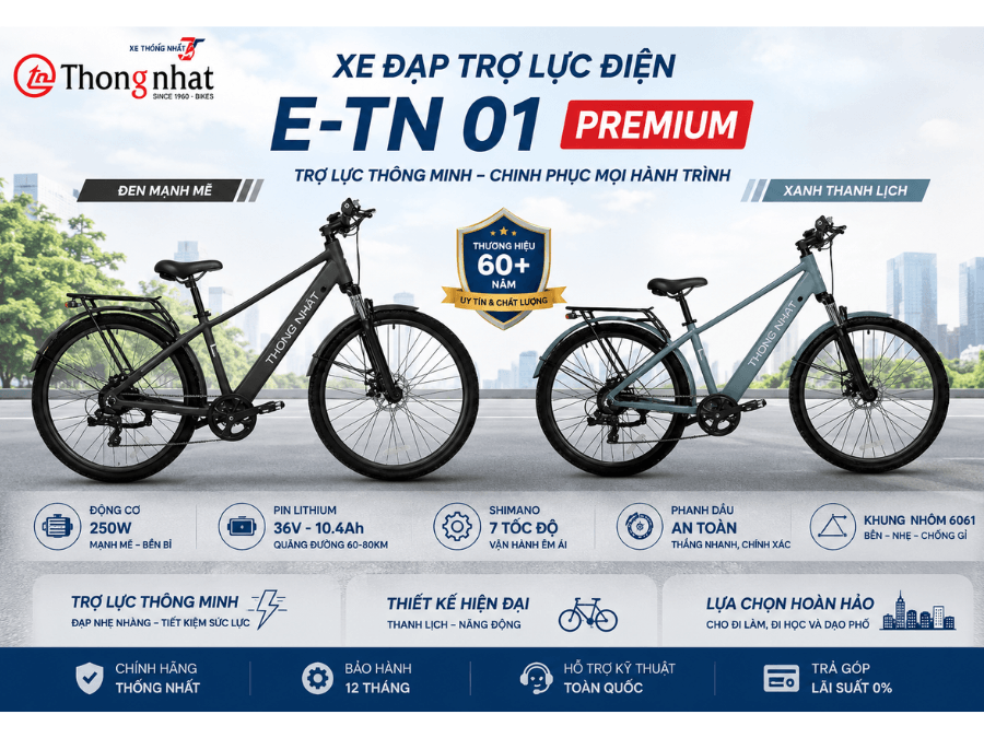 Xe Trợ lực điện Thống Nhất E-TN 01 PREMIUM 5 Xe Dap Tro Luc Dien E Tn 01 Premium 4