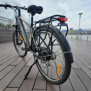 Xe Dap Tro Luc Dien Sallway Strong 02 Pro 12 600x600