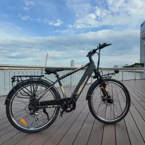 Trang chủ 57 Xe Dap Tro Luc Dien Sallway Strong 02 Pro 9 600x600