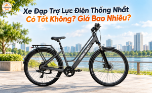 Xe Đạp Trợ Lực Điện Thống Nhất Có Tốt Không? Giá Bao Nhiêu?