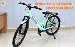 Các Mẫu Xe Đạp Trợ Lực Thống Nhất Được Ưa Chuộng Hiện Nay