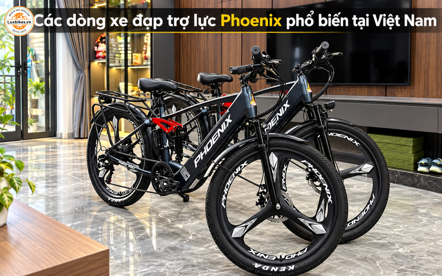 Xe Đạp Trợ Lực Phoenix Của Nước Nào? Có Đáng Mua Không 6 Các dòng xe đạp trợ lực Phoenix phổ biến tại Việt Nam