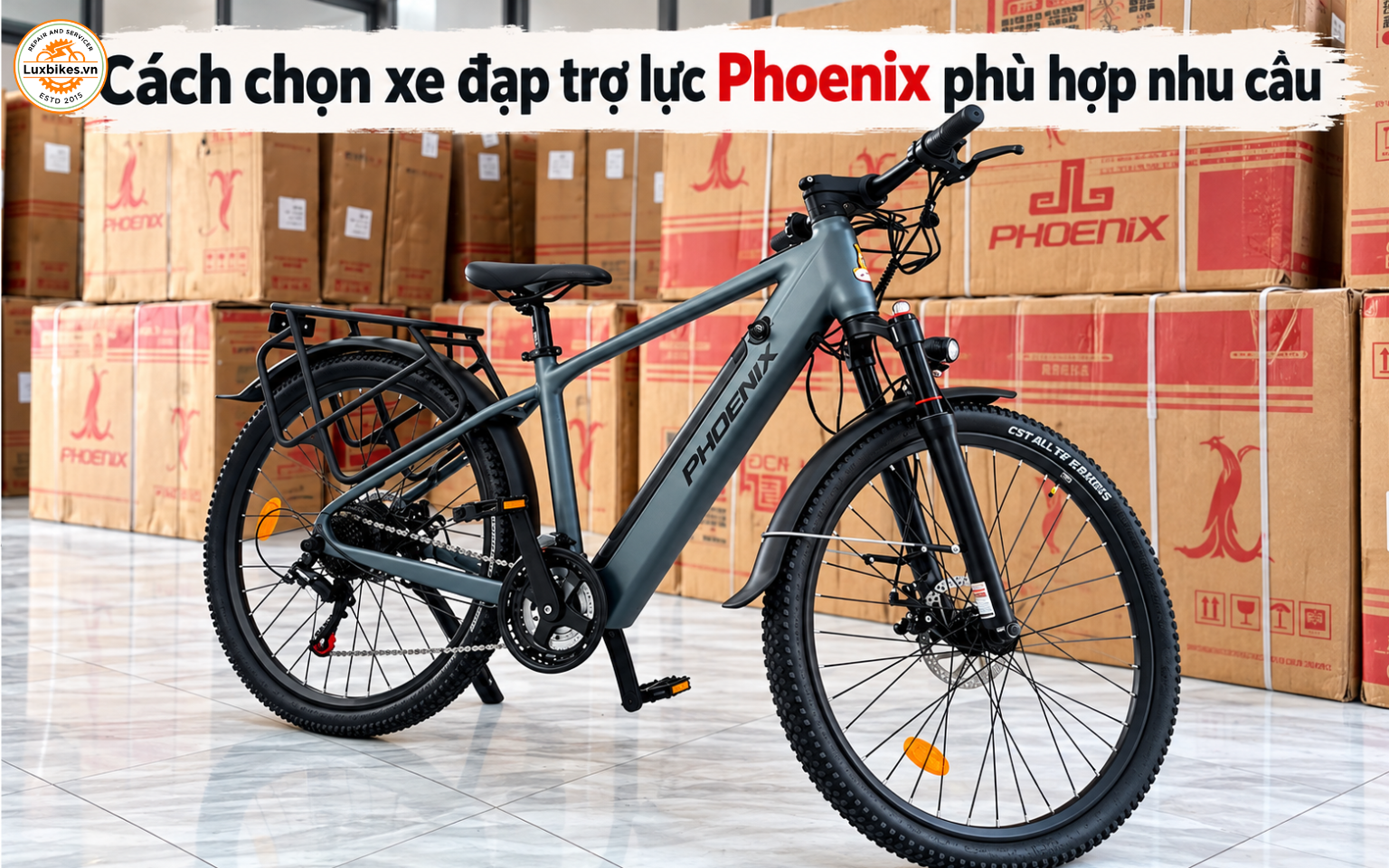 Xe Đạp Trợ Lực Phoenix Của Nước Nào? Có Đáng Mua Không 12 Cách chọn xe đạp trợ lực Phoenix phù hợp nhu cầu