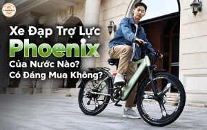 Xe Đạp Trợ Lực Phoenix Của Nước Nào? Có Đáng Mua Không