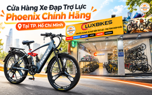 Cửa Hàng Xe Đạp Trợ Lực Phoenix Chính Hãng Tại TP. Hồ Chí Minh